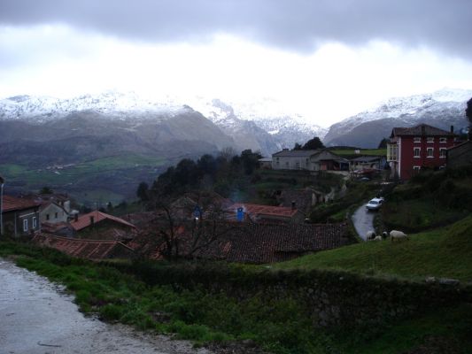 23884-alevia-alevia-desde-el-bebedero.jpg
